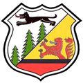 Goslarer Sport Club von 1908 e.V.